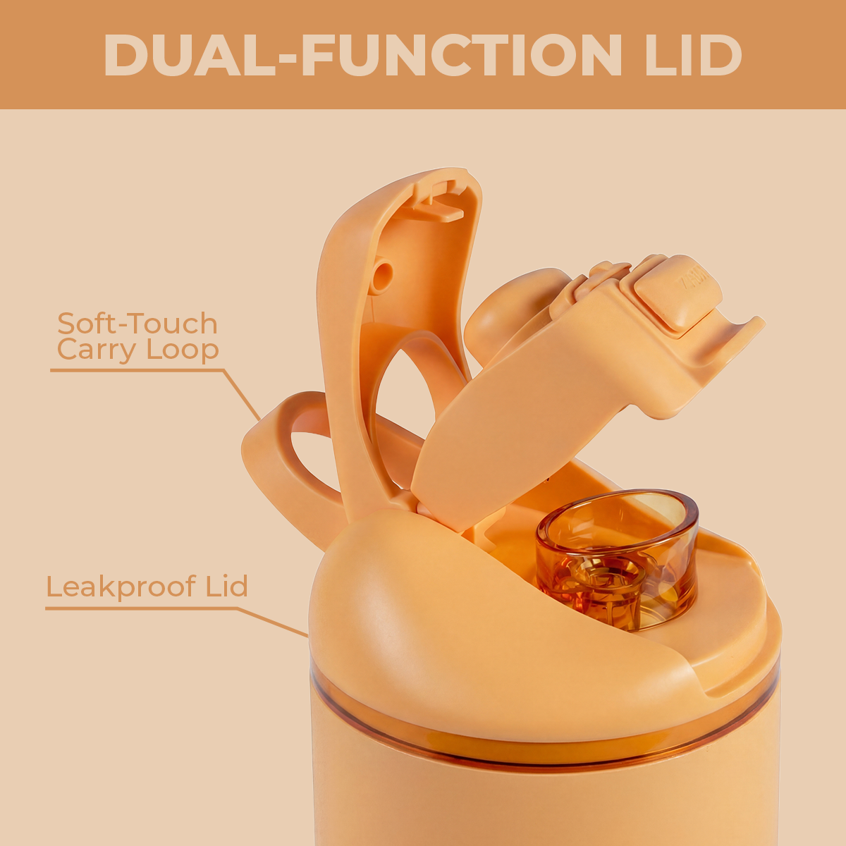marigold-r6 Ease32-Marigold-WPI-6.png