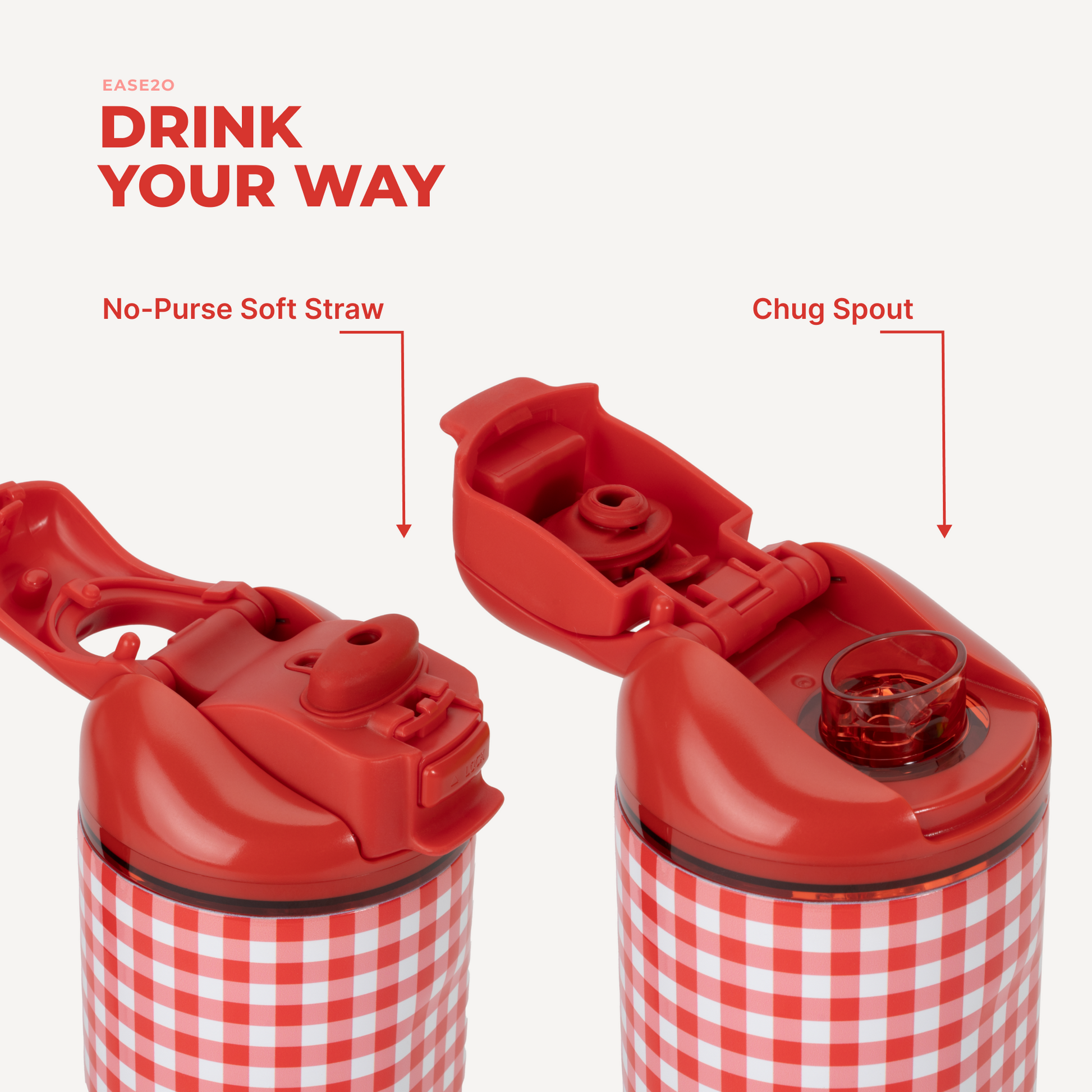 summer-picnic-f8 Ease14-SummerPicnic-3WPI.png