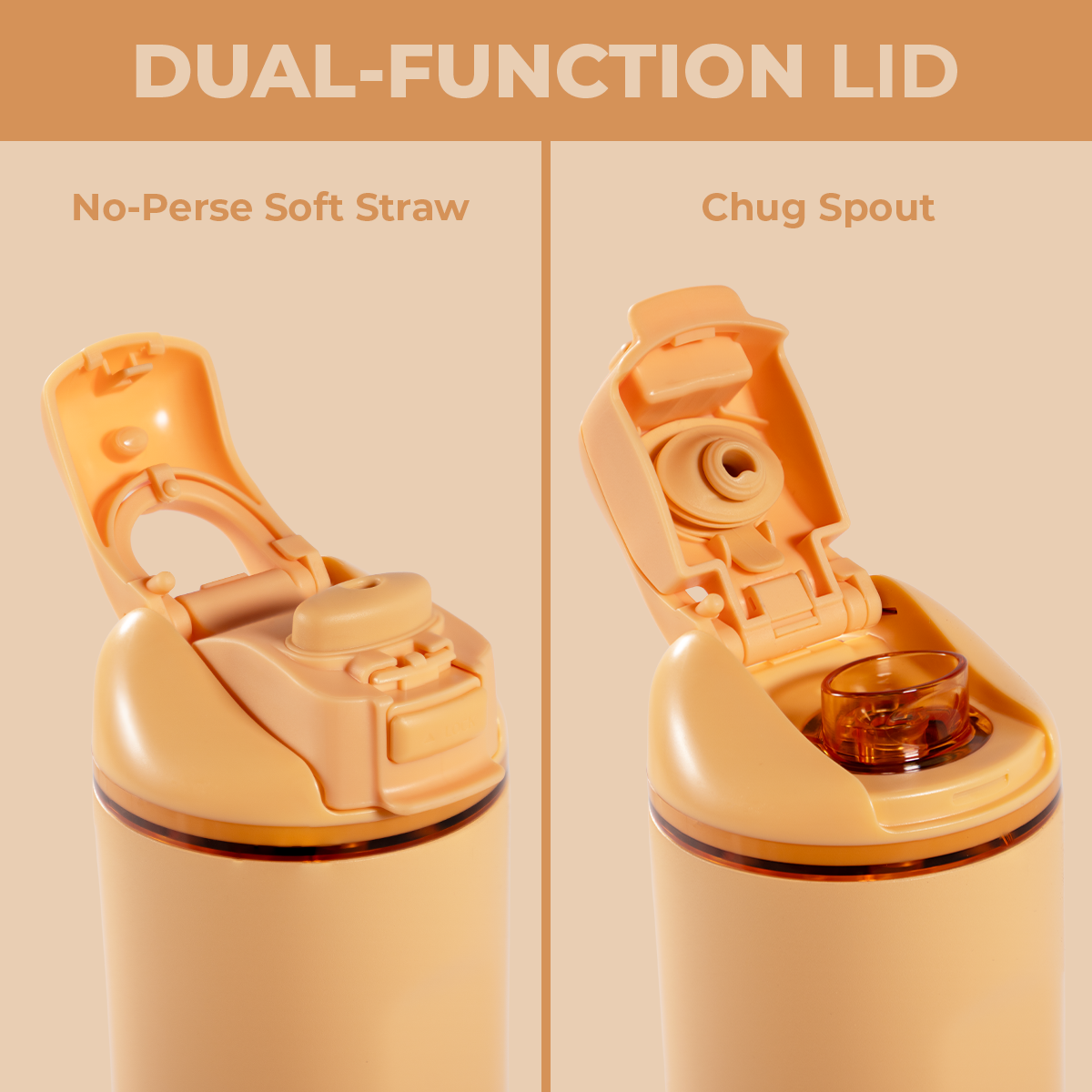 marigold-r6 Ease32-Marigold-WPI-5.png